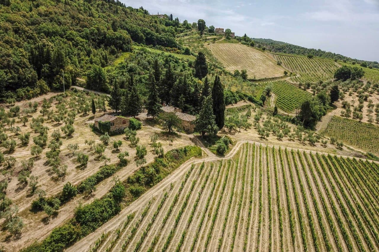 Weingut im Chianti Classico zu verkaufen - 33