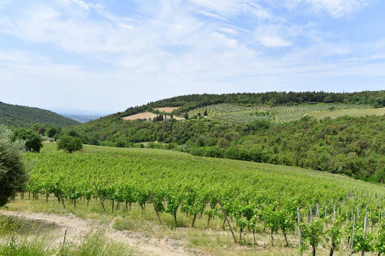 Weingut im Chianti Classico zu verkaufen - 45
