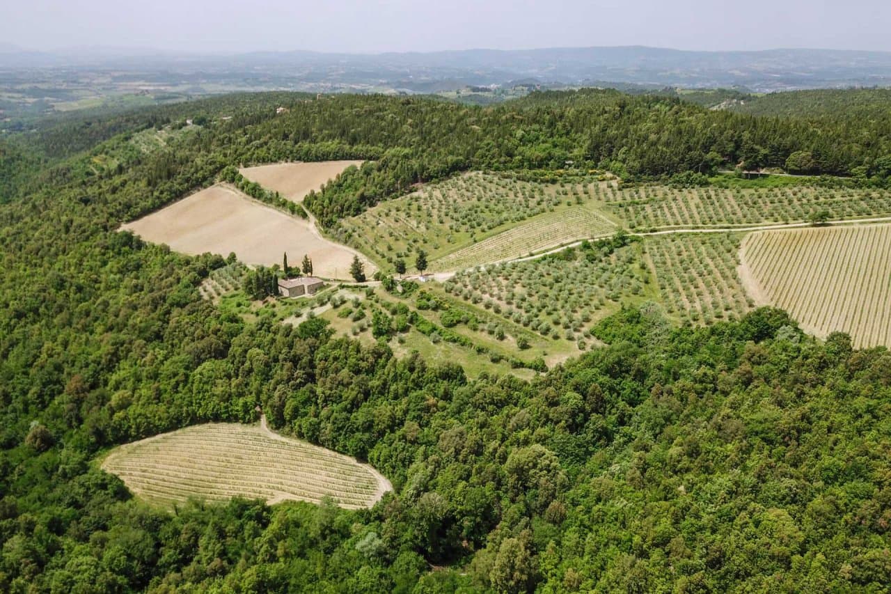 Weingut im Chianti Classico zu verkaufen - 27
