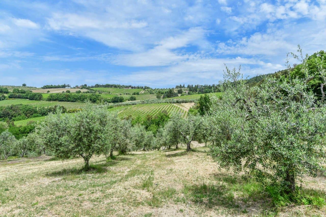 Weingut im Chianti Classico zu verkaufen - 41