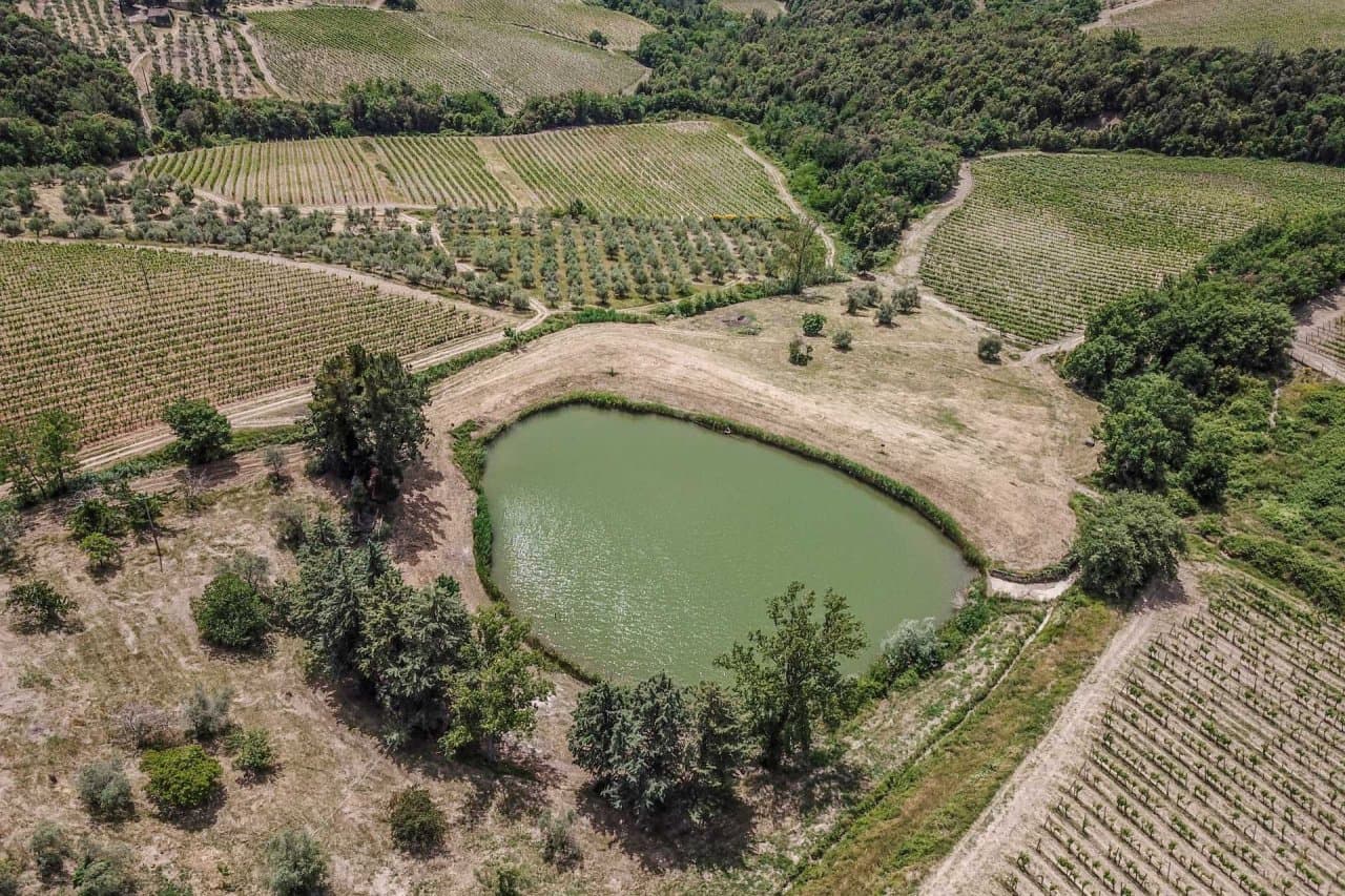 Weingut im Chianti Classico zu verkaufen - 37