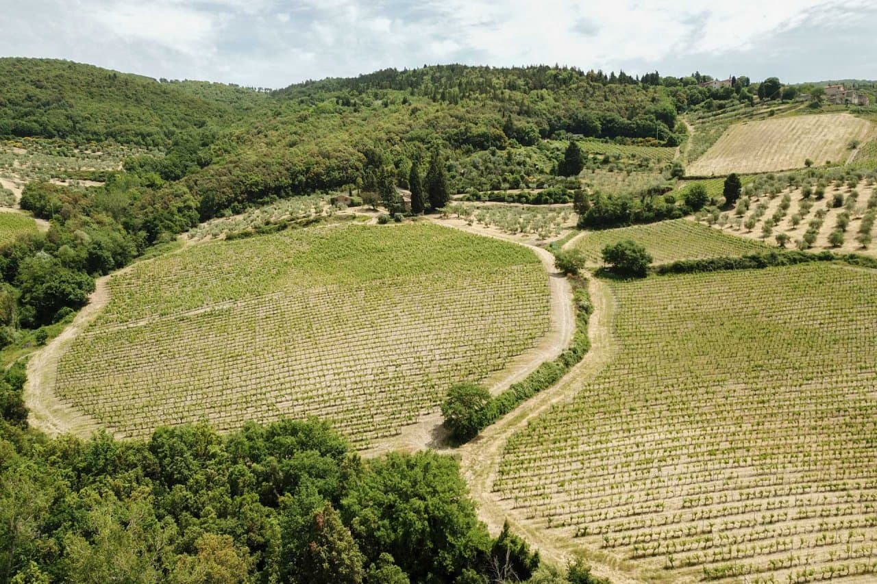 Weingut im Chianti Classico zu verkaufen - 32
