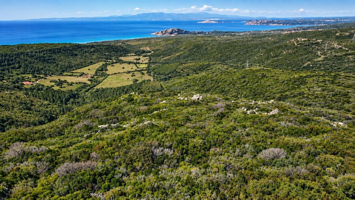 On the heights of Monti Russu, in Aglientu, in the authentic heart of Gallura, extends this property of over 110 hectares, set in still unspoiled nature. - 3