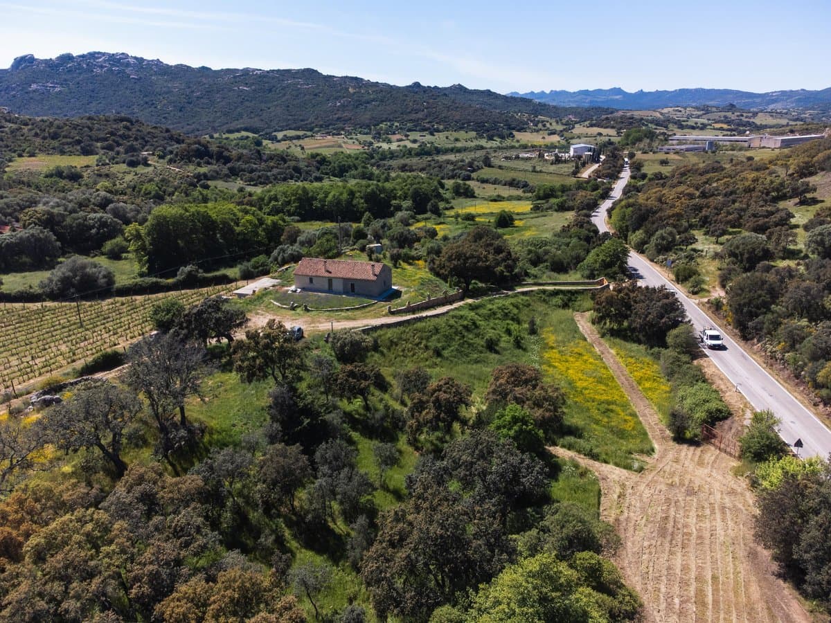 Exclusiva finca agrícola con viñedos y alcornocales - 2