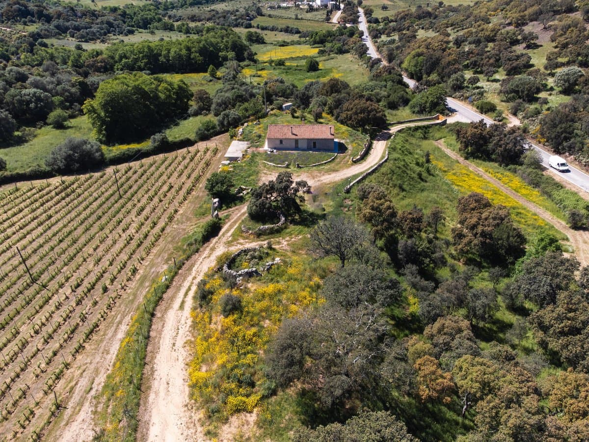 Exclusiva finca agrícola con viñedos y alcornocales - 4