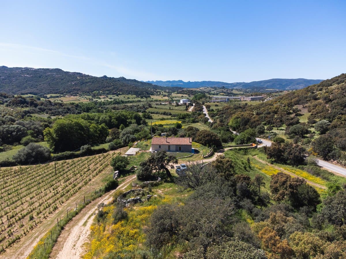 Exclusiva finca agrícola con viñedos y alcornocales - 3