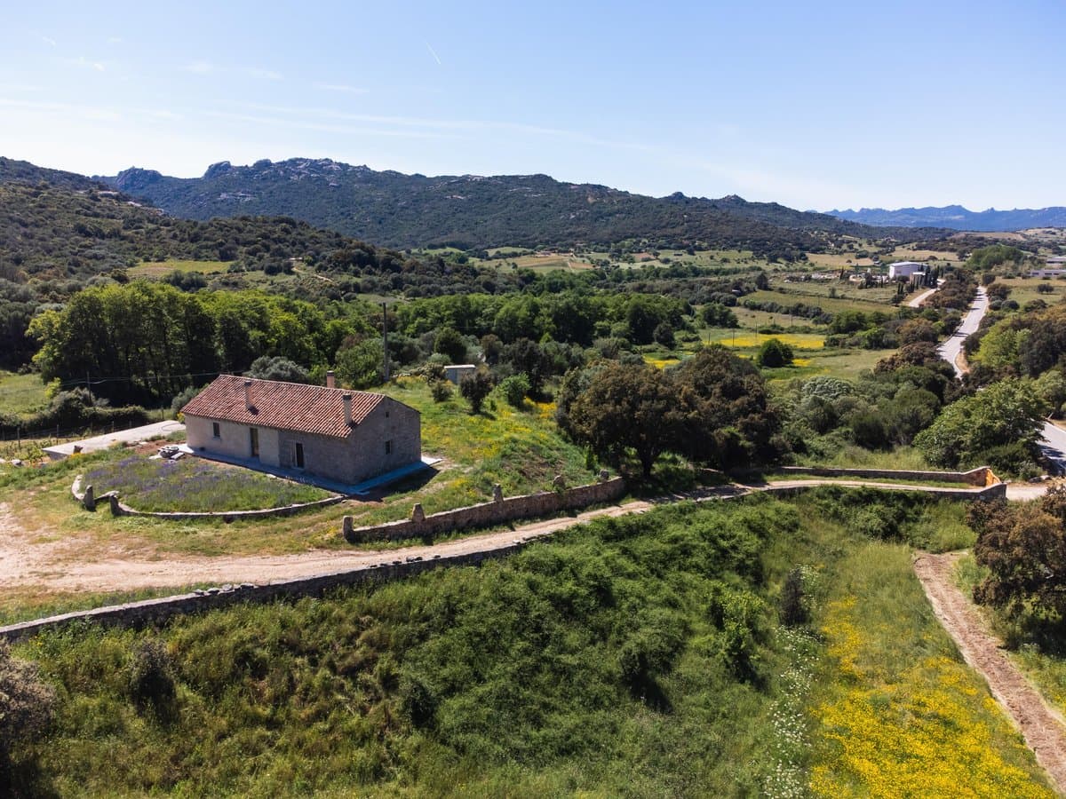 This prestigious agricultural estate, complete with vineyards and cork oak forests, spans approximately 57 hectares in the heart of Gallura, moments from Priatu and 20 minutes from Olbia airport. - 1