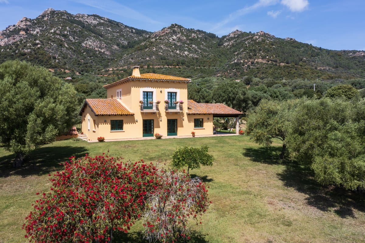 Finca Agrícola Monte Pino - 4