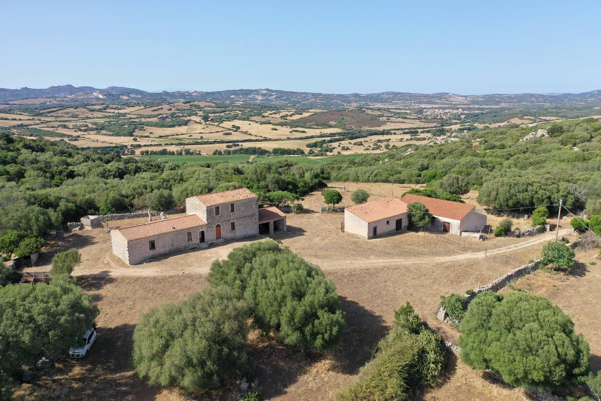 Farm with a Gallurese-style farmhouse