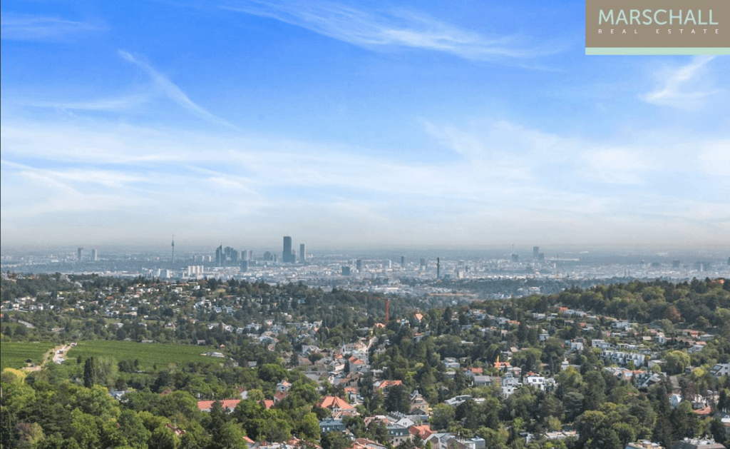 Exclusive penthouse with views of vienna